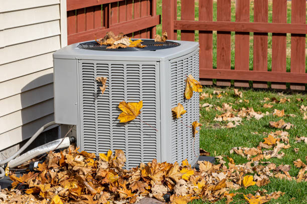 Best HVAC Maintenance Near Me  in Maurice, LA
